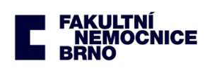 Fn Brno