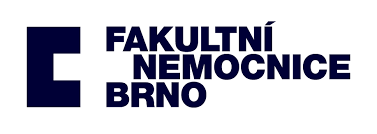 Fn Brno